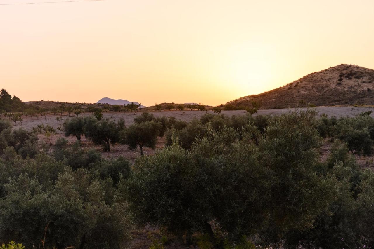 Complejo Rural Sol De Taberno Pensionat Exteriör bild