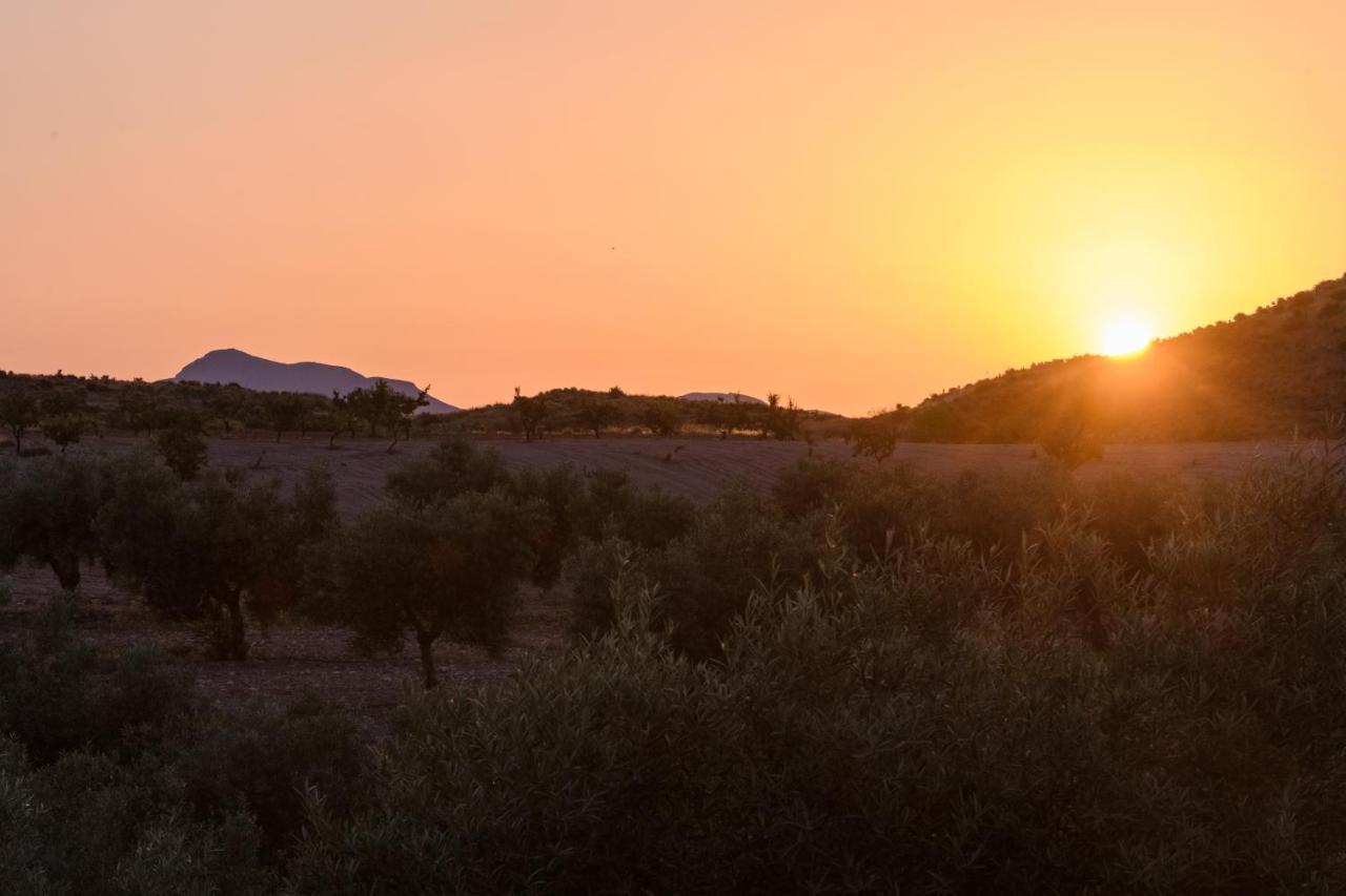 Complejo Rural Sol De Taberno Pensionat Exteriör bild