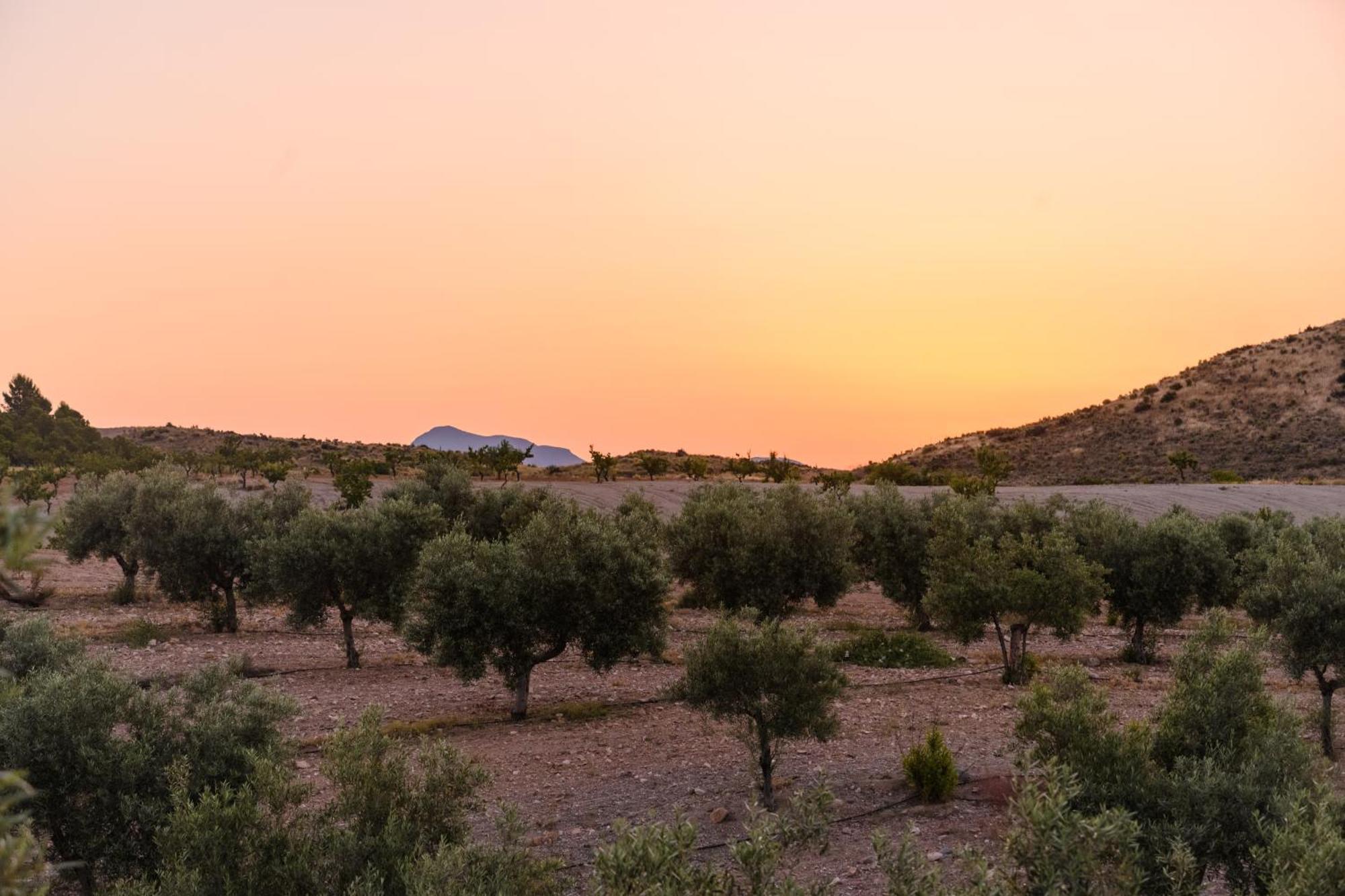 Complejo Rural Sol De Taberno Pensionat Exteriör bild
